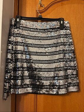 Derek Lak Sequin Mini Skirt with Black Stripes